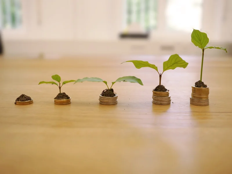 Stratégies de croissance à faible coût qui marchent vraiment